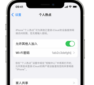 应县apple服务站点分享iPhone上个人热点丢失了怎么办 