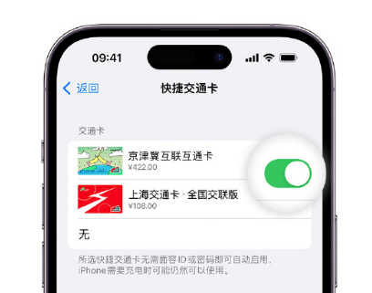 应县apple维修点分享iPhone上更换Apple Pay快捷交通卡手绘卡面 