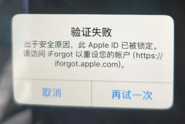 应县iPhone维修分享iPhone上正常登录或使用AppleID怎么办 