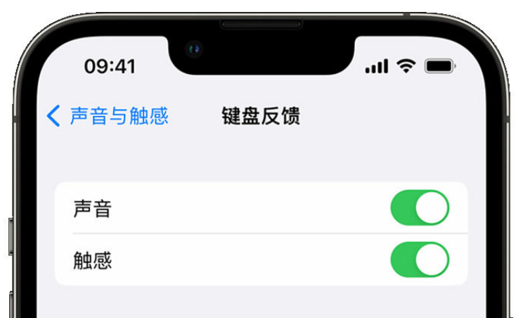 应县苹果手机维修分享iPhone 14触感键盘使用方法 