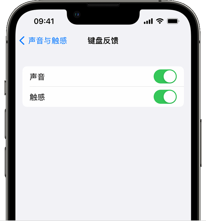 应县苹果14维修店分享如何在 iPhone 14 机型中使用触感键盘 