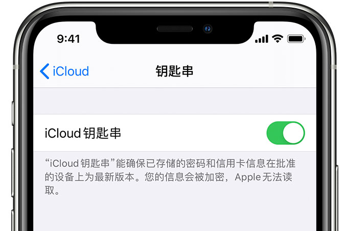 应县苹果手机维修分享在 iPhone 上开启 iCloud 钥匙串之后会储存哪些信息 