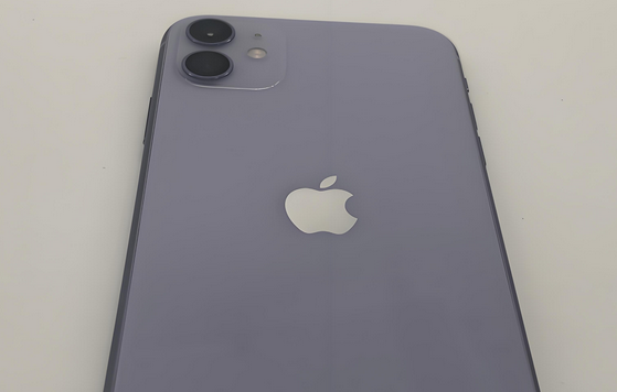 应县苹果11系统维修分享iPhone11手机系统崩溃无法开机如何解决